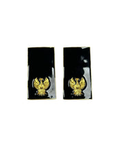 Grado de Metales de la Policía Estatal - INSPECTOR